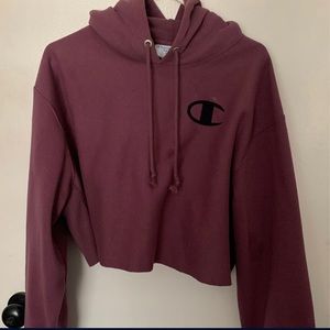 Champion Cropped Hoodie